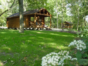 Neshonoc Lakeside Camping Resort